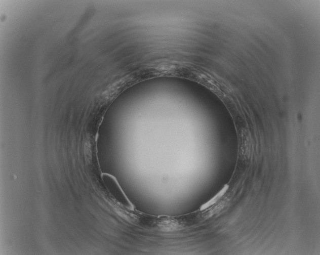 X0000072530562200608041600