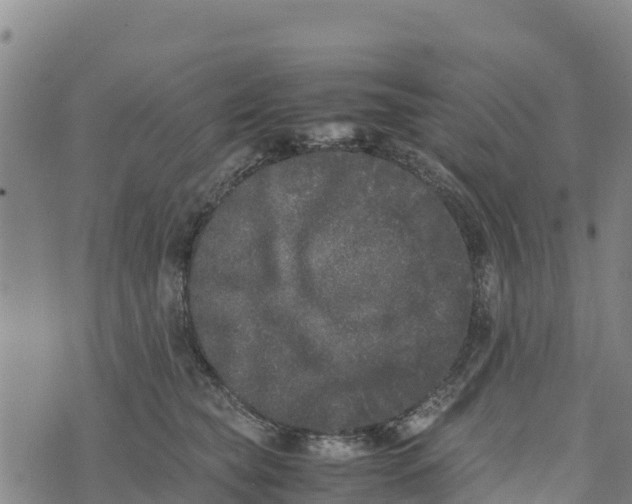 X0000072530565200608041600