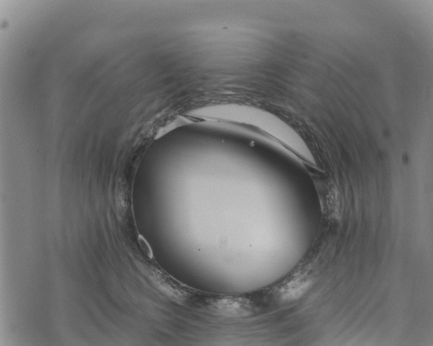 X0000072530566200608041600