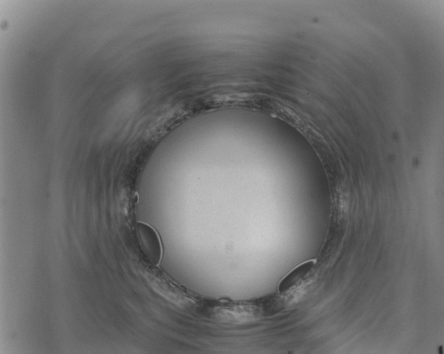 X0000072530567200608041600