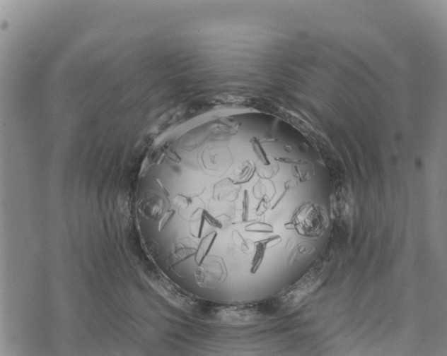 X0000072530568200608041600