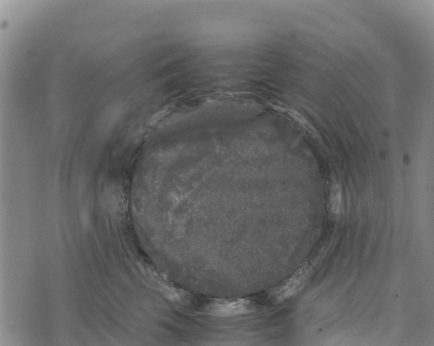 X0000072530569200608041600