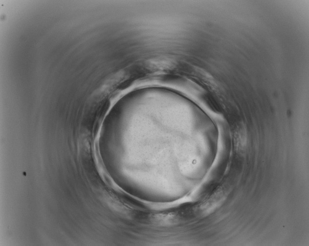 X0000072530570200608041600