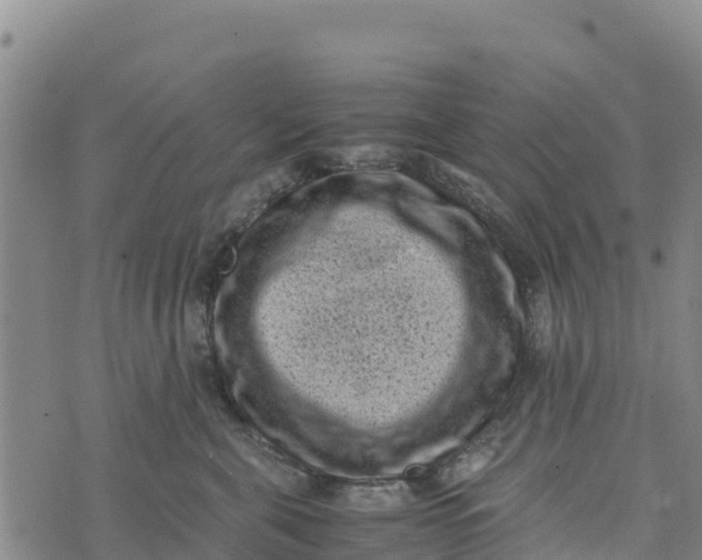 X0000072530571200608041600