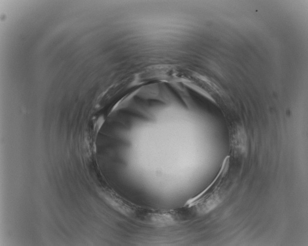 X0000072530572200608041600