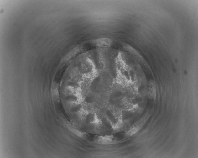 X0000072530573200608041600