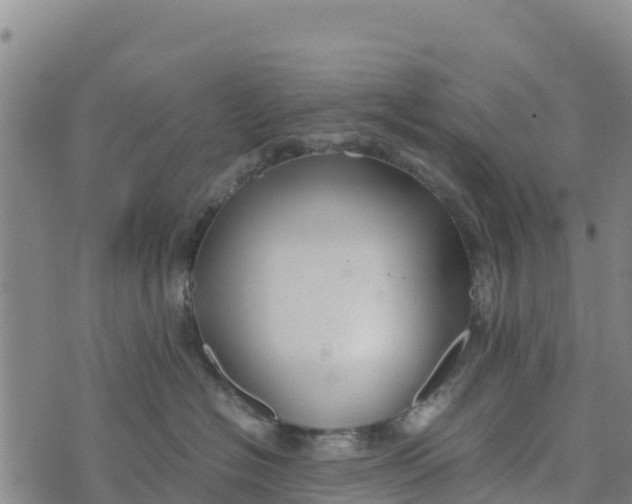 X0000072530574200608041600