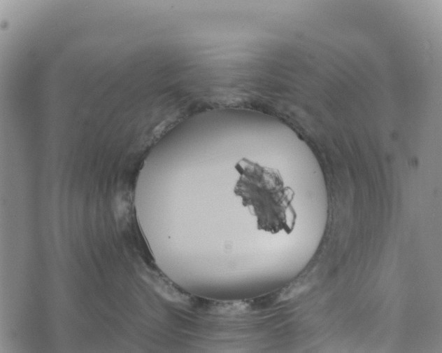 X0000072530576200608041600