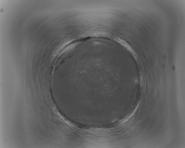 X0000072530577200608041559