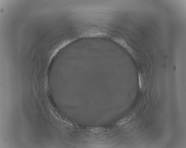 X0000072530579200608041559