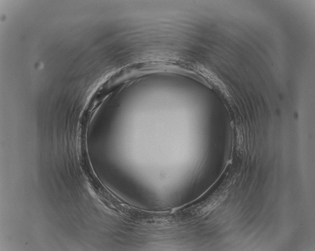 X0000072530580200608041559