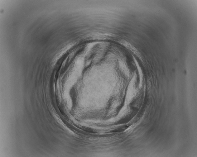 X0000072530581200608041559