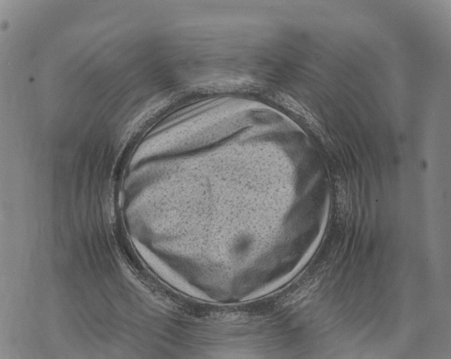 X0000072530582200608041559