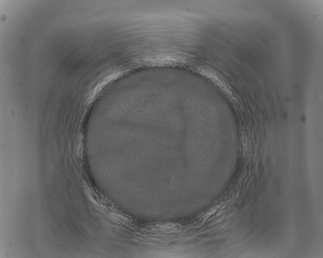 X0000072530583200608041559