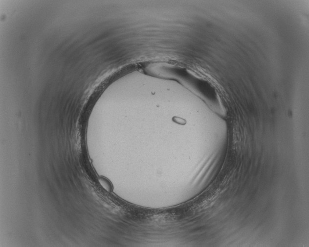 X0000072530584200608041559