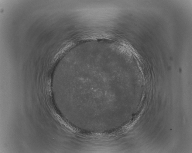 X0000072530585200608041559