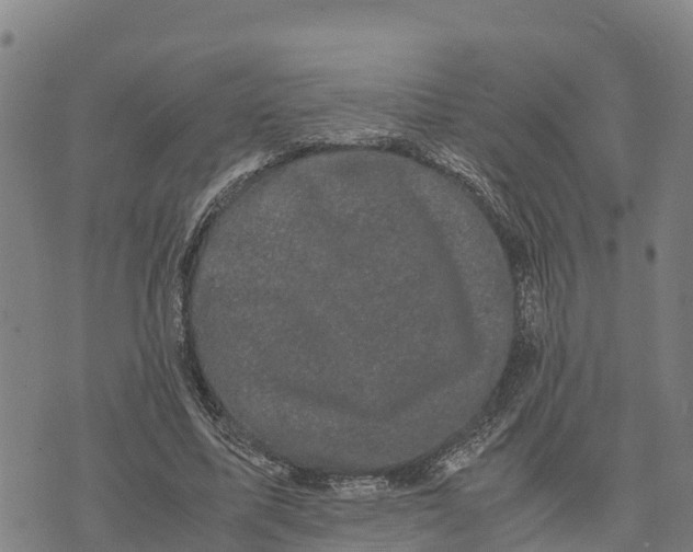 X0000072530587200608041559