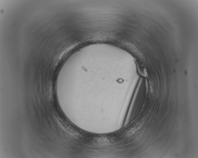 X0000072530588200608041559