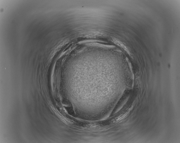 X0000072530589200608041559