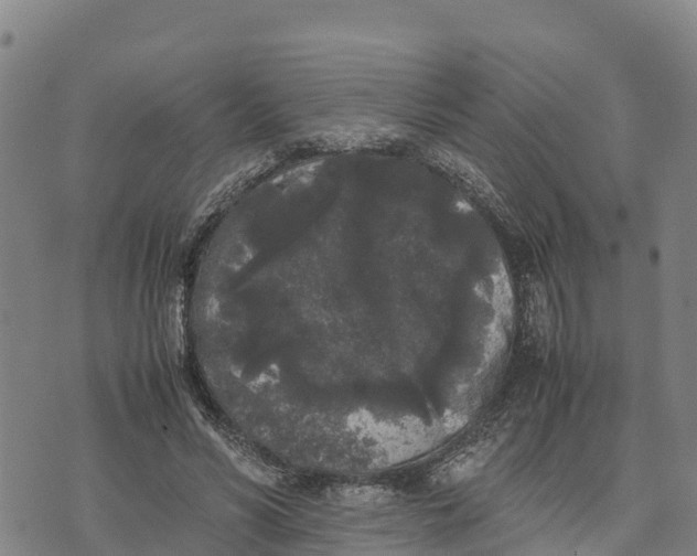 X0000072530590200608041559