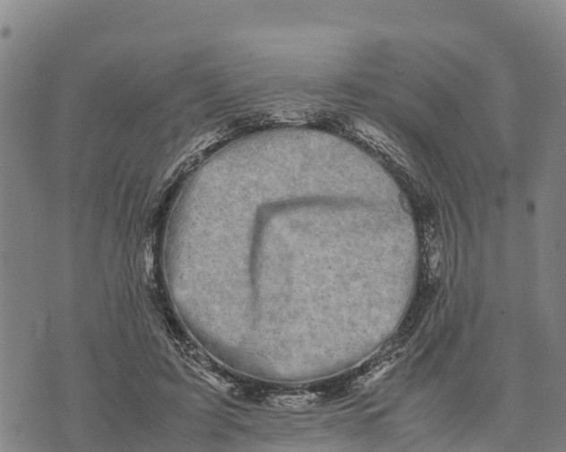 X0000072530595200608041559