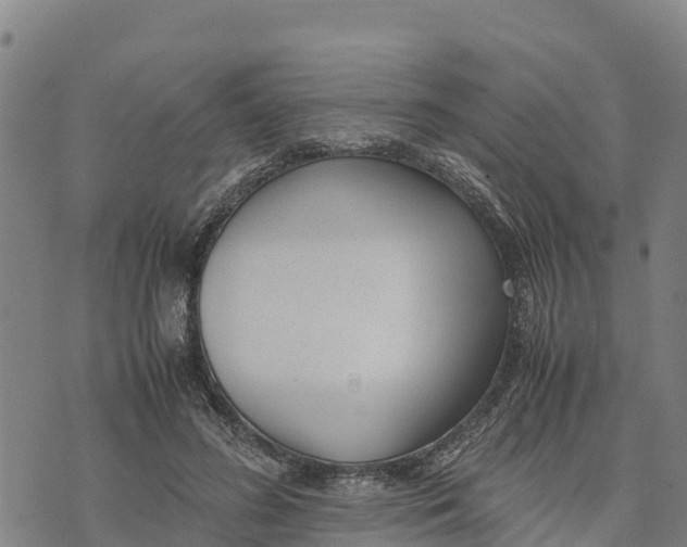 X0000072530596200608041559