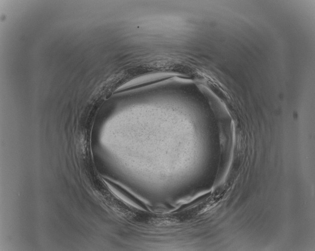 X0000072530597200608041559