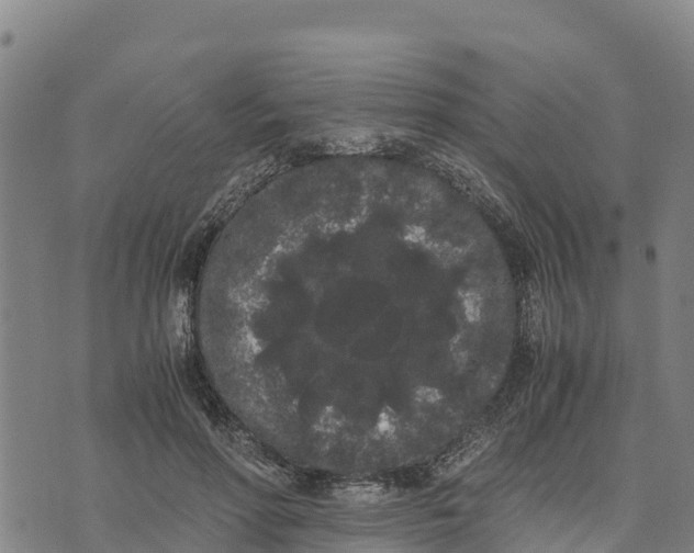 X0000072530598200608041559