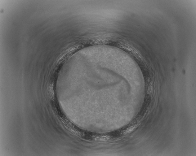 X0000072530599200608041559