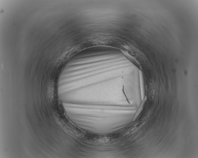 X0000072530600200608041559