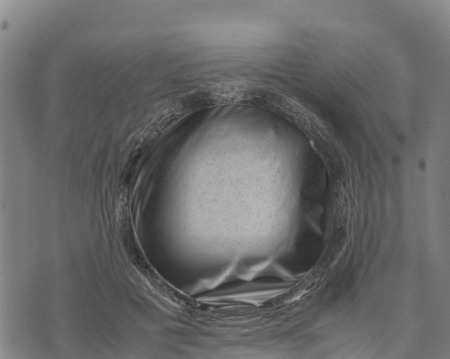 X0000072530601200608041559