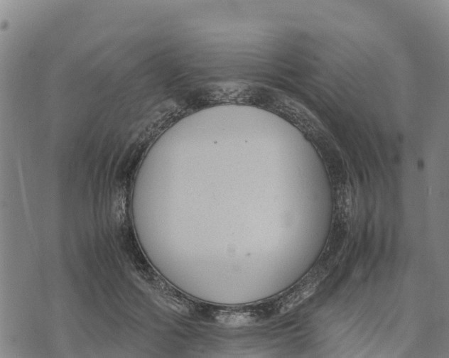 X0000072530602200608041559