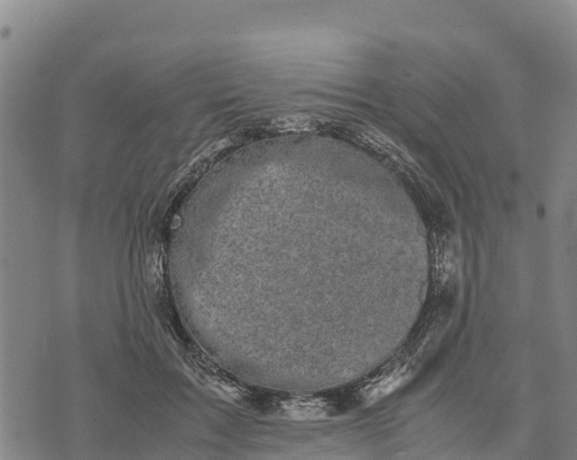 X0000072530603200608041559