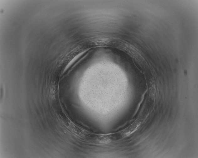 X0000072530604200608041559