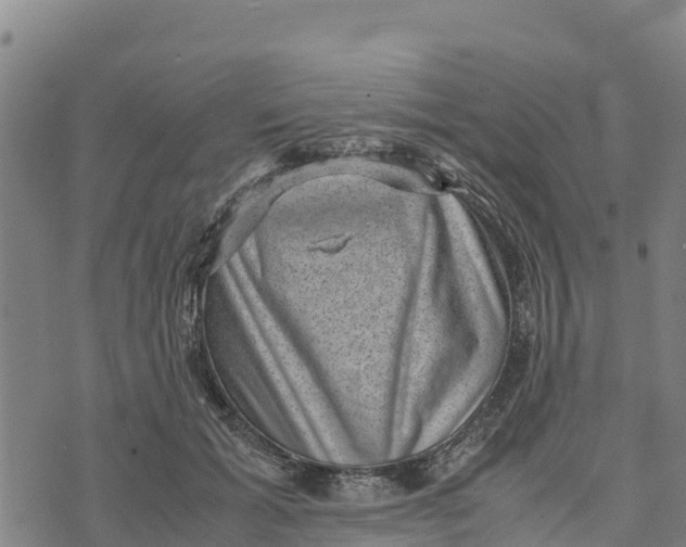 X0000072530605200608041559