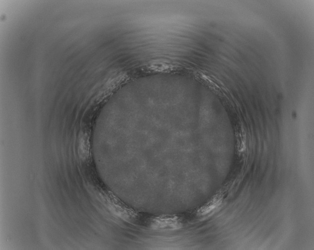 X0000072530606200608041559