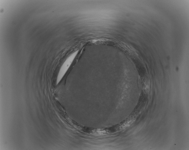 X0000072530607200608041559