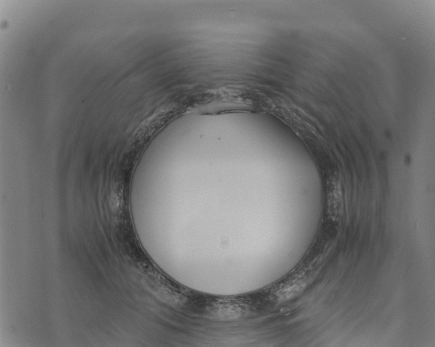 X0000072530608200608041559