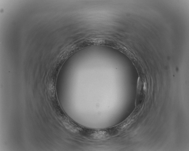 X0000072530609200608041559