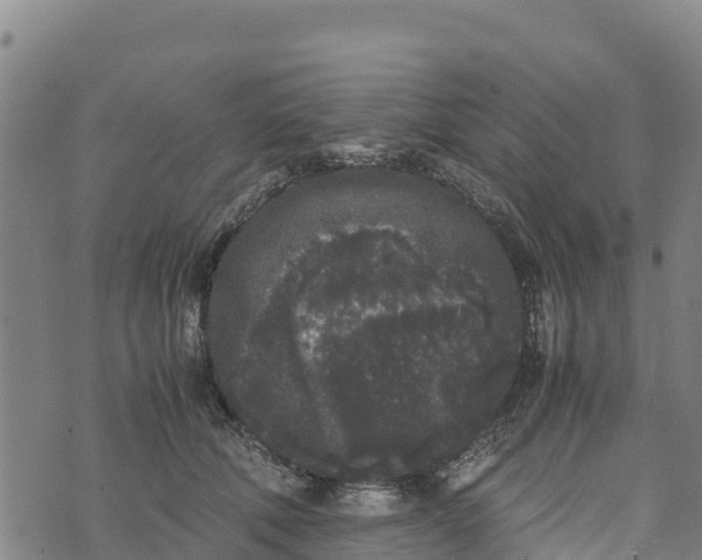 X0000072530610200608041559