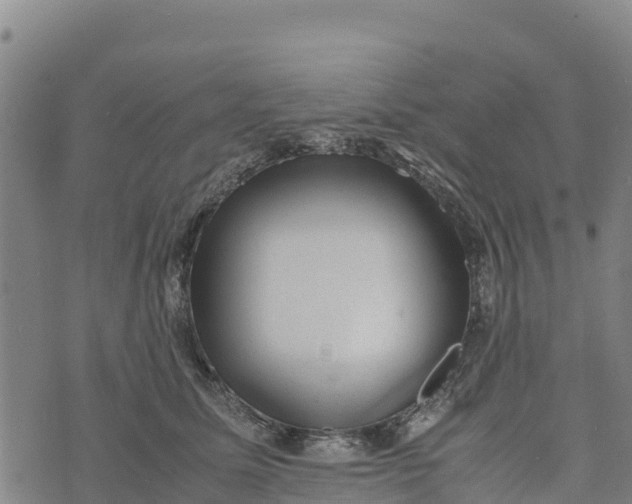 X0000072530611200608041559