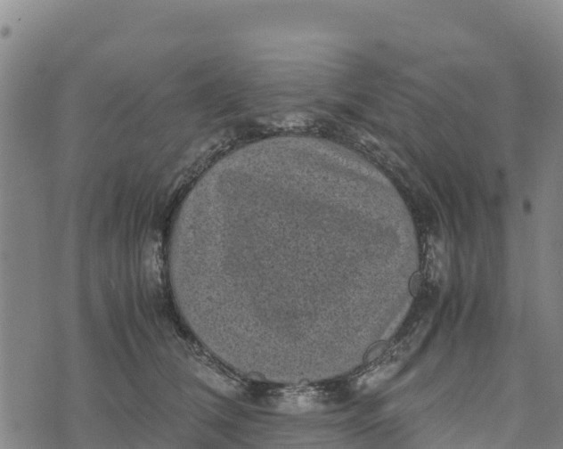 X0000072530612200608041559