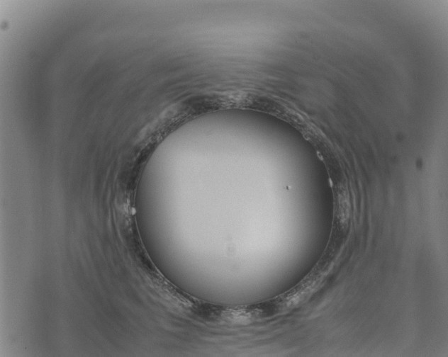 X0000072530613200608041559