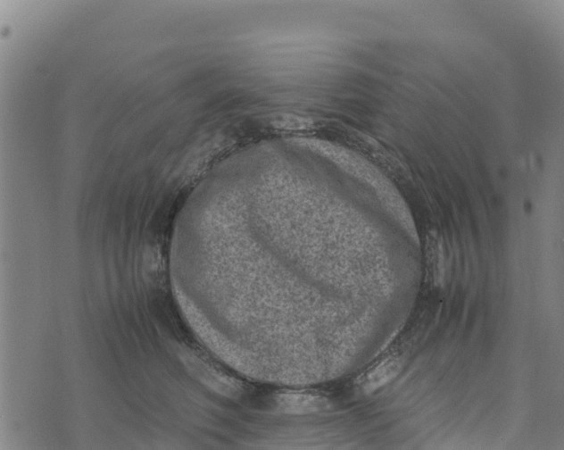 X0000072530614200608041559