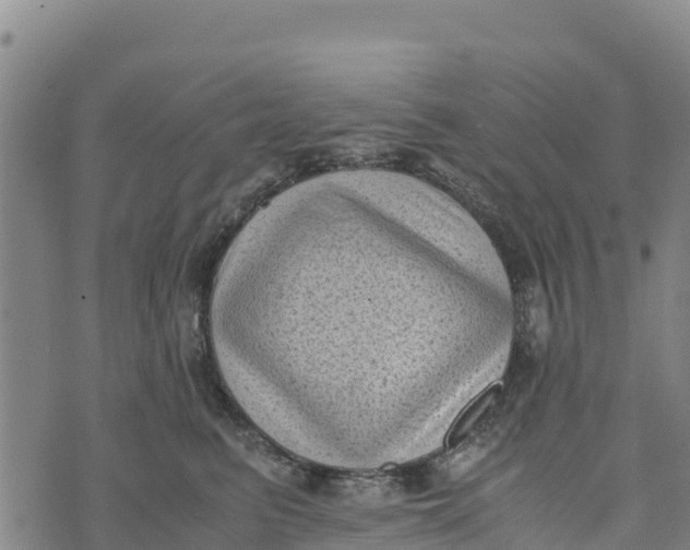 X0000072530615200608041559