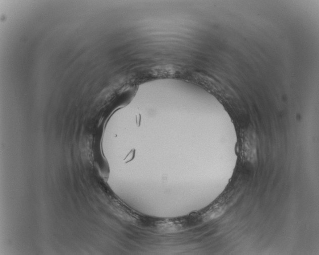 X0000072530616200608041559