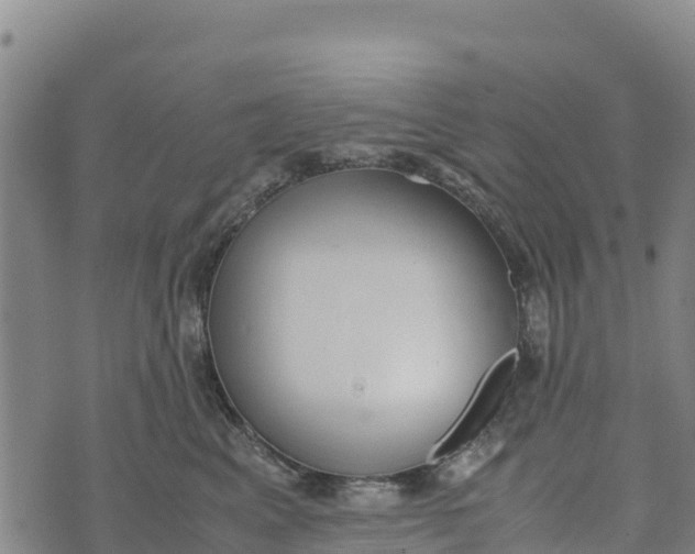 X0000072530617200608041559