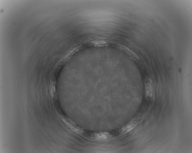 X0000072530618200608041559