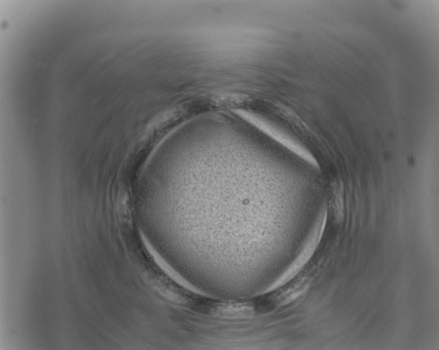 X0000072530619200608041559