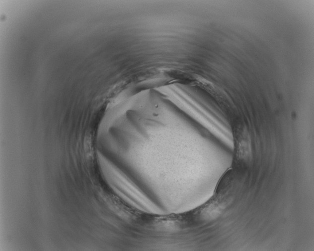 X0000072530620200608041559